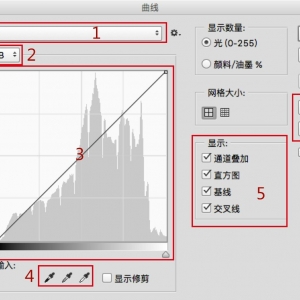 适合新手学习的Photoshop曲线工具原理