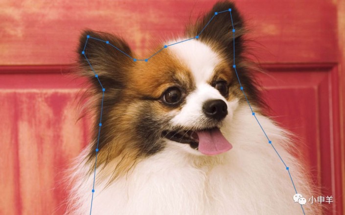 Photoshop使用通道工具抠出可爱的狗狗