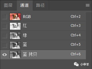 Photoshop使用通道工具抠出可爱的狗狗