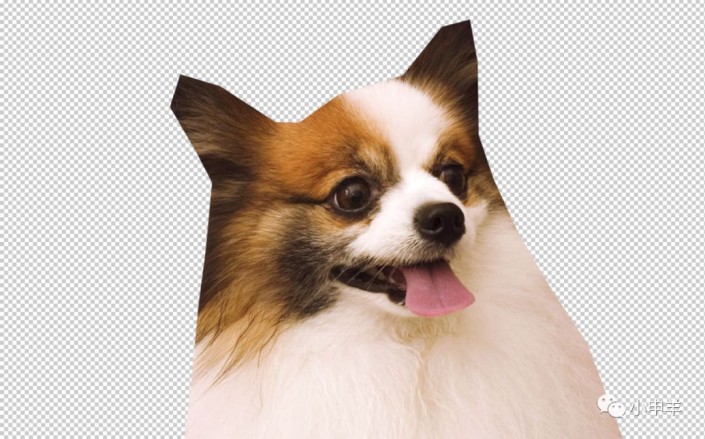 Photoshop使用通道工具抠出可爱的狗狗