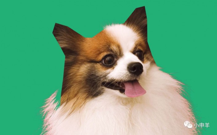 Photoshop使用通道工具抠出可爱的狗狗