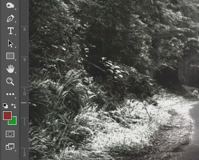 下雪效果，在PS中给照片制作逼真的下雪效果_www.16xx8.com