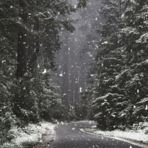 下雪效果，在PS中给照片制作逼真的下雪效果