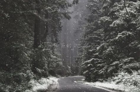 下雪效果，在PS中给照片制作逼真的下雪效果_www.16xx8.com